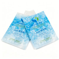 Packs de glace réutilisables longue durée pour glacière, idéaux pour le camping, la pêche, le transport de nourriture et d'eau