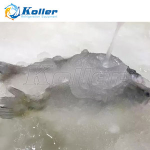 Machines à glace liquide Koller SF50 pour bateaux de pêche, 5 tonnes/24h - Product Image 4