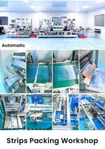 닥터 덴트 6% 과산화수소 민트 맛 치아 미백 스트립 28 전문 고급 치아 미백 스트립 가정 사용 - Product Image 4