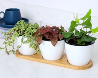 Petits Pots d'intérieur et d'extérieur pour plantes, jardin, arrosage automatique pour herbes, fleurs et plantes succulentes, en plastique blanc
