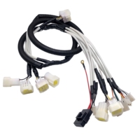 Arnés de Cables Personalizado para Automóviles, Arnés de Cables para Automóviles con Conector MOLEX, Fábrica Certificada IATF 16949