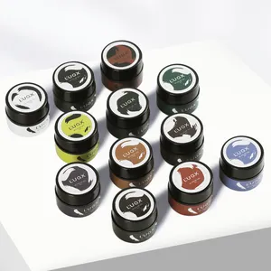 L'UGX özel tırnak boyama jel yüksek kalite genişletilmiş fonksiyonu jel astar nail art jel boya