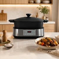 Casserole électrique multifonction intelligente 5,5 L 1250 W avec logo personnalisé, pour porridge et soupes, avec pot en fonte pour usage domestique