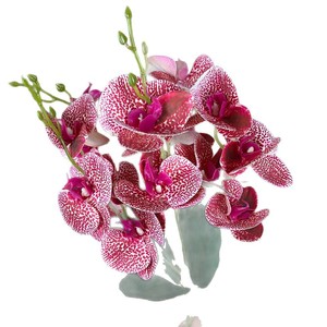 Orchidées Phalaenopsis artificielles en soie, moulées par injection, fleurs décoratives pour mariage, origine Europe - Product Image 5