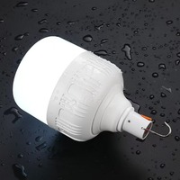Ampoule LED rechargeable avec USB et batterie, à suspendre avec crochet pour le camping en extérieur et l'éclairage d'urgence à domicile