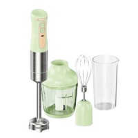 Mixeur Plongeant Sans Fil Rechargeable USB à 3 Vitesses Variables avec Moteur AC, Ensemble de 0,6 L pour Extérieur, Lames en Acier Inoxydable, Prise UE