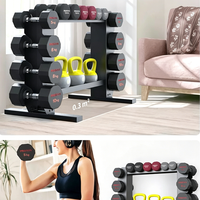 Ensemble d'haltères en fer moderne avec support et étagères de rangement pour kettlebells, pour la salle de sport et la maison