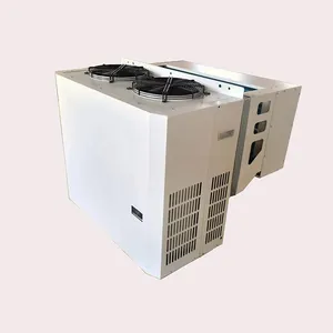 Unità di condensazione 3hp unità di refrigerazione condensatore