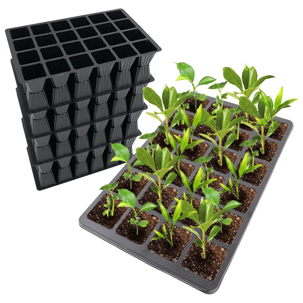 Plástico Starter Garden Plant Propagação Crescente Berçário Plântulas Germinação Célula semente hidropônico crescer bandeja Com Buracos