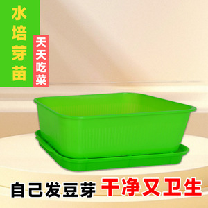 Bandejas para germinar brotes de frijol, macetas de germinación para brotes de frijol amarillos y verdes, hidroponía para cultivo en agua - Product Image 4