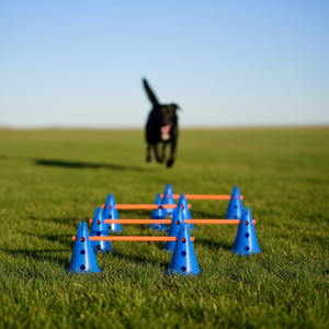 Kit de entrenamiento de agilidad para perros, juego de 6 piezas con conos y barras para práctica de velocidad, bolsa de almacenamiento de plástico incluida - Product Image 3