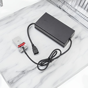 Fournisseur mondial de chargeurs, fabricant de batteries CE UL, usine de chargeurs AGV, chargeur de batterie pour fauteuil roulant (chargeur de batterie au lithium 12V 34) - Product Image 1