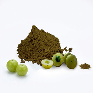 Mejor calidad Amla en polvo de fruta de la India - Product Image 1