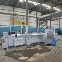 Commerciële productielijn voor frieten, hoog-efficiënte aardappelverwerkingsmachines, turnkey-oplossing