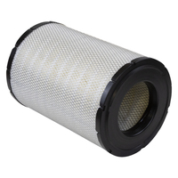 Filtre à air neuf de haute qualité P533235 AF25033 319468A1 RS3530