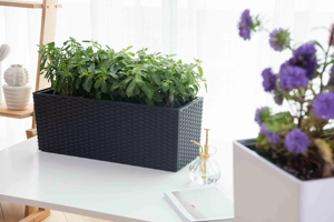 New Style Rattan Surface Resin Rectangle Black Plastic Plant <strong>Pot</strong> for Wall <strong>Balcony</strong> Windowsflower <strong>Pot</strong> Planter Box Railing - Product Image 4