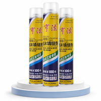 Mousse polyuréthane isolante thermique insonorisante en spray 750 ml, mousse PU expansive à durcissement rapide pour l'étanchéité des portes et des fenêtres