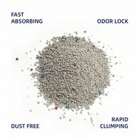 Litière pour chat en bentonite de qualité supérieure OEM/ODM, prix de gros, litière pour chat minérale, litière pour chat agglomérante en bentonite