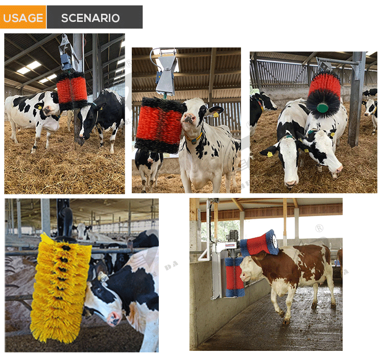 Farm Equipment Cow Brush Auto Cow And Cattle Body Brush For Healthy