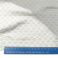 Tissu Jacquard 3D à Petites Fleurs, Densité 110*120, Largeur 57/58 pouces, 135 GSM, 100% Polyester, Antistatique, Occultant pour Vêtements et Rideaux