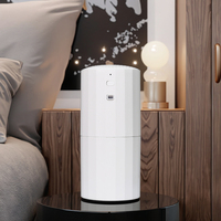 Diffuseur de parfum électrique mural pour la maison, blanc, Wifi et Bluetooth, parfum arabe, produits uniques, chambre d'hôtel, prise EU/US, parfum