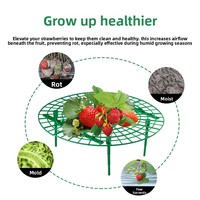 Support de fleurs pour fraises et tournesols, pilier de jardinage anti-moisissure pour plantes grimpantes – Vente directe usine, sélection rigoureuse