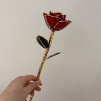 QY Luxe Huisdecoratie Valentijnsdag Moederdag Verjaardag Bloemengeschenken Goud Gedipte Ge conserveerde Roos Echte 24k Gouden Rozen