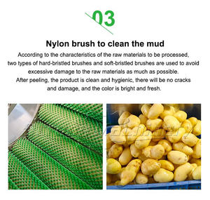 Pomme de terre brosse machine à laver brosse patate douce machine à laver fruits brosse machine à laver - Product Image 4