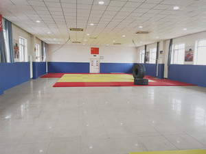 <span class=keywords><strong>Tapis</strong></span> <span class=keywords><strong>de</strong></span> judo Tatami personnalisés en EVA NBR, épaisseur personnalisable, <span class=keywords><strong>tapis</strong></span> <span class=keywords><strong>de</strong></span> <span class=keywords><strong>sol</strong></span> pour <span class=keywords><strong>gymnastique</strong></span>, BJJ, exercices, pour compétition <span class=keywords><strong>de</strong></span> haut niveau - Product Image 2