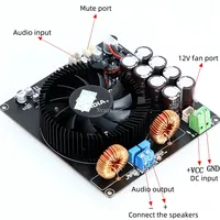 Carte d'amplificateur de puissance numérique OEM ODM TPA3255 classe D mono canal 600W