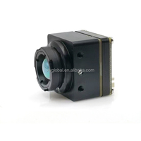 Module de caméra thermique miniature non refroidie 256x192, caméra frontale étanche avec vision nocturne, garantie 1 an