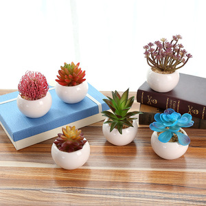 Miniplantas suculentas artificiales surtidos, con macetas para decoración del hogar, planta de aloe <span class=keywords><strong>vera</strong></span> artificial para interior, <span class=keywords><strong>en</strong></span> macetas de cerámica - Product Image 4