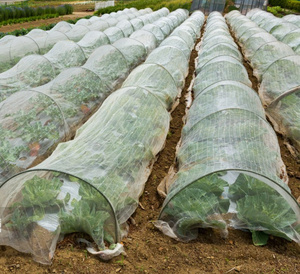 Servicio de Corte Personalizado de Vegetales, Malla de Protección para Jardín de Flores, Red Antiinsectos para Invernadero - Product Image 4