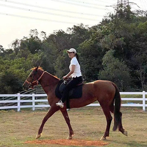 Clôture de cheval en PVC Stabalized 3 Rail Bétail Bétail Clôture Sécurité Clôture de cheval en vinyle noir pour la protection des chevaux - Product Image 2