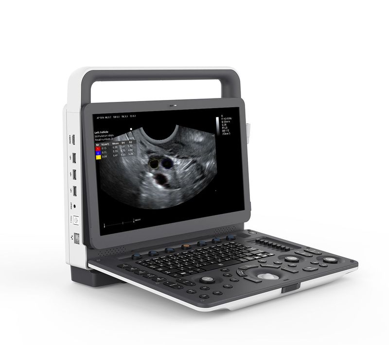 Portable Ultrasound Scanner Vet Diagnostic Instruments