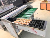 Machine de tri automatique des œufs, trieuse de qualité des œufs, machine de tri des œufs de poule par taille et poids