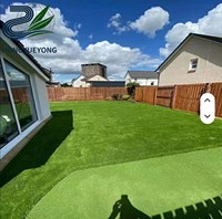 Qingdao Stadt Kunstrasen Dachbegrünung Kunststoff-Simulationsgras Dekoration Outdoor Fußball Freizeitrasen Kindergarten PP+PE