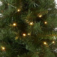 Sapin de Noël miniature Majestic Fir pré-éclairé de haute qualité, 24 pouces |   35 lumières LED blanc chaud, fonctionnant sur piles, base en tissu rouge avec minuterie