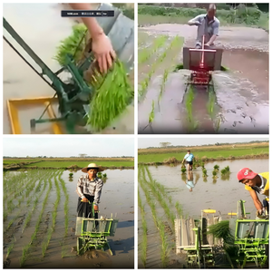 Sembradora manual profesional ApriPros, sembradora de precisión para trasplante de arroz, 2 filas, 1 año de garantía, ahorra tiempo y trabajo - Product Image 3