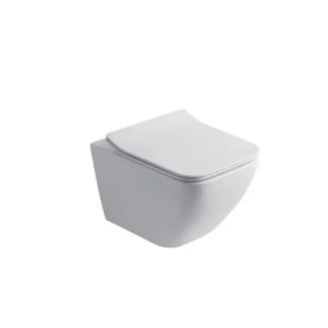 Ceramic Flush Modern American Frameless Wall Mounted Toilet