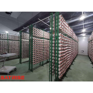 Mushroom Growing Metal Shelves Oyster Lion's Mane Mushroom Cultivation Racks - Product Image 2