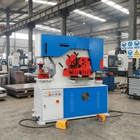 Machine de découpe et de poinçonnage hydraulique multifonctionnelle de précision, machine intégrée de découpe de profilés et de poinçonnage