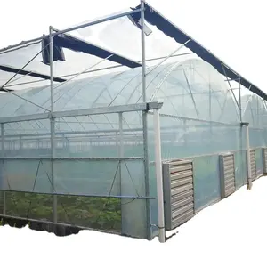 Good Quality PC board Tunnel Green House venlo glass Greenhouse with strawberry equipment and irrigation