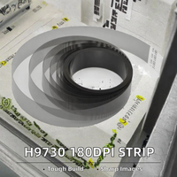 H9730 180DPI Encoder Strip untuk Printer Inkjet ECO Solvent 3.2M Kondisi Baru untuk 180-4500-1.5