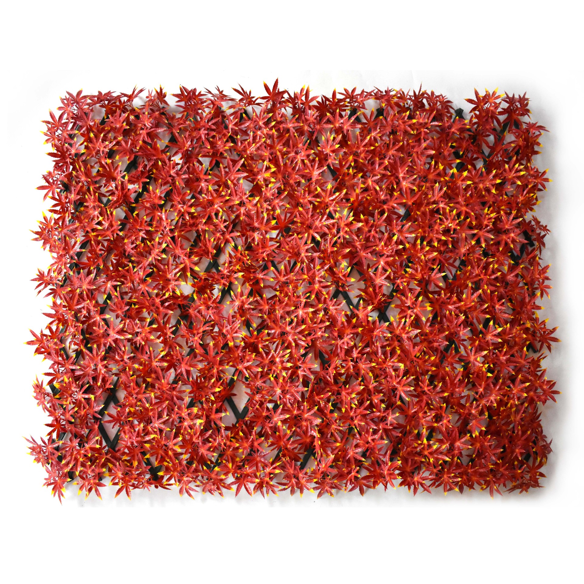 รั้วเมเปิลแดง PVC