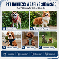 Ensemble Harnais Chien OKEYPETS Luxe Personnalisé Réglable avec Laisse, Collier, Sac à Déjections, Bandana Réversible en Néoprène Respirant pour Chiot