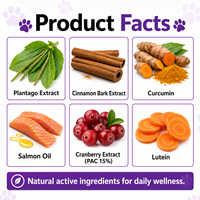 OEM ODM Marque Privée 15-en-1 Multivitamines pour Chiens sous Forme de Friandises Tendres Glucosamine Probiotiques Huile de Saumon Santé Articulaire Peau Pelage et Digestion