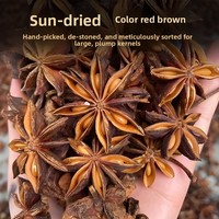 Anís estrellado crudo AD seleccionado a mano, en forma de cubo, grado rojo, origen Guangxi, especias sin ahumar, exportación a granel, mercado mayorista global