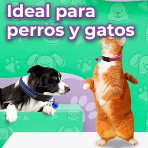 Reflective Pet Collar with <b>Bell</b> for <b>Dogs</b> and Cats, Adjustable 19-32 cm, Waterproof Polyester, Simple Solid Design, All Seasons U - Product Image 4