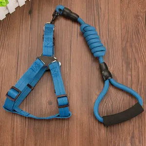 Bán Sỉ Pet Nguồn Cung Cấp Chất Lượng Cao Con Chó Dây Xích Và Khai Thác Với Nylon Bọt Độn Xử Lý Cho Con Chó Đào Tạo Đi Bộ